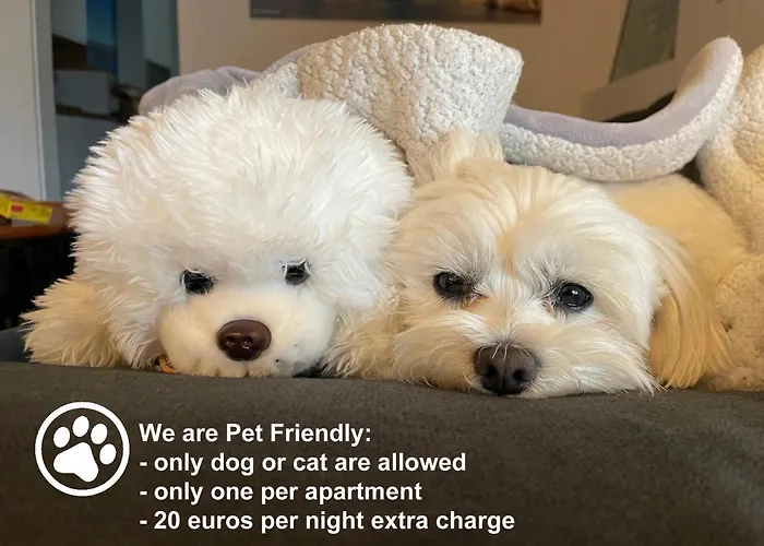 Apartments Monika Bed & Breakfast 236